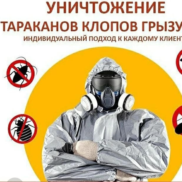 Уничтожение клопов,тараканов