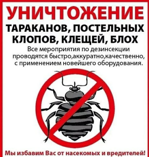 Уничтожение клопов,тараканов